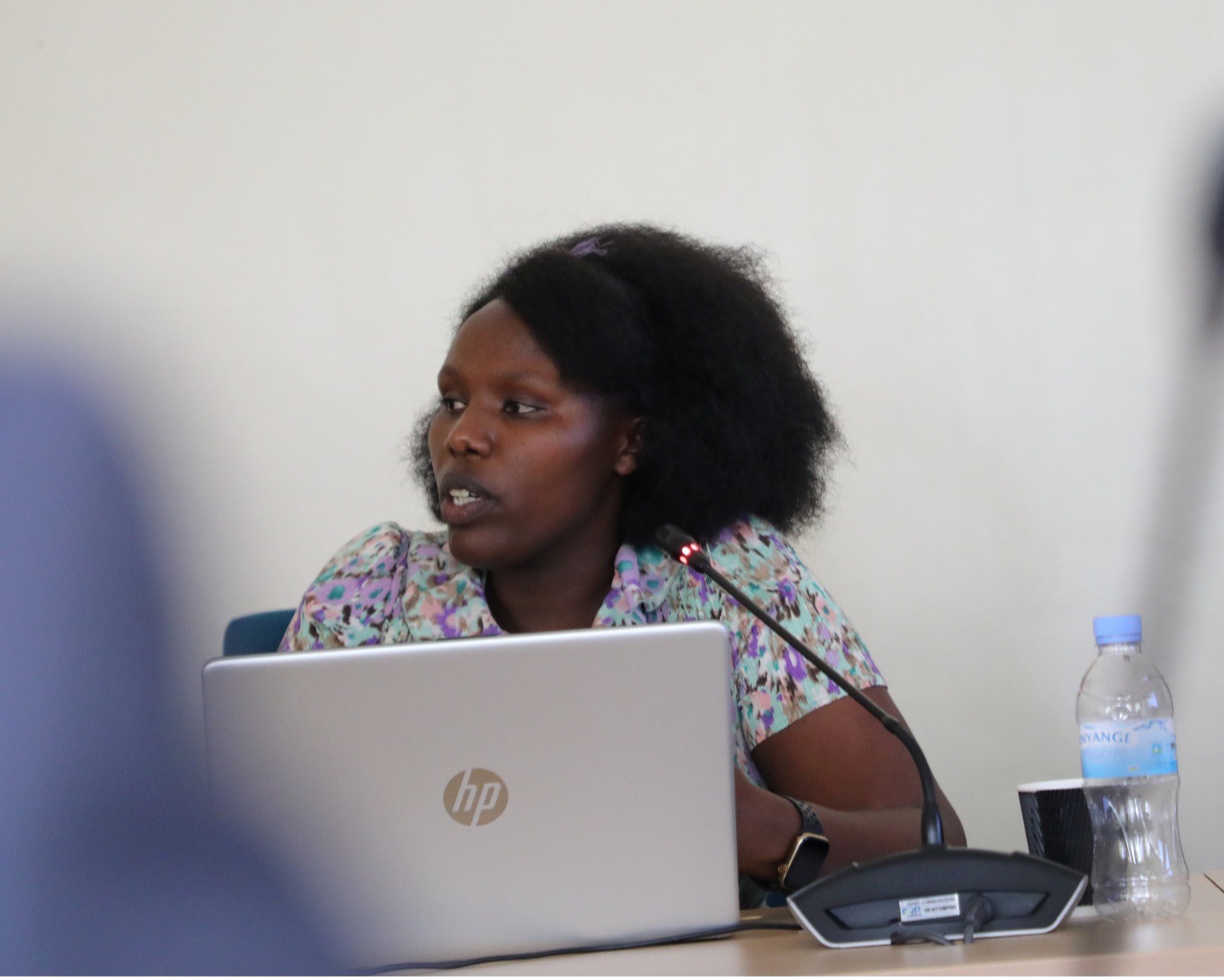 SDF Grant Committee